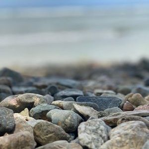 Meet your Posher, René